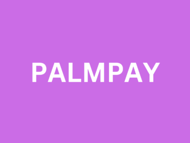 Palmpay